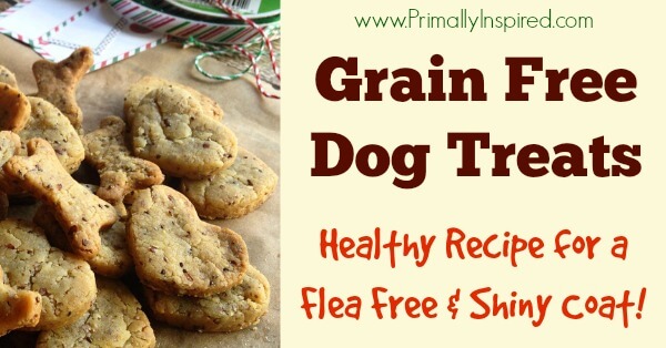 organic grain free dog treat recipes
