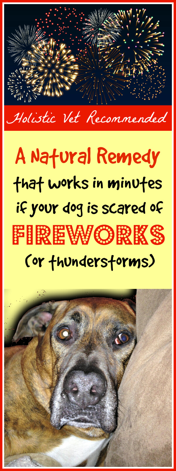 why are dogs scared of fireworks