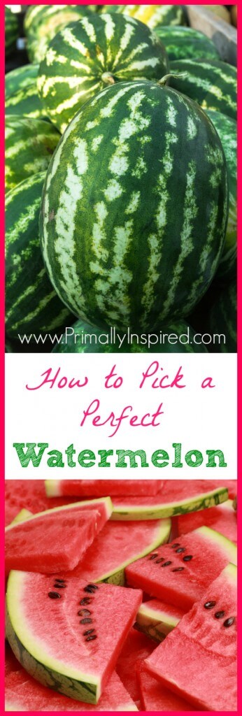 How To Pick A Watermelon Primally Inspired 9104